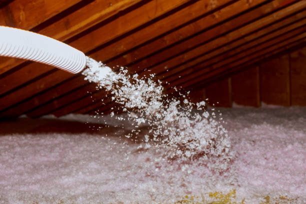 Best Attic Insulation Installation  in Carbondale, PA