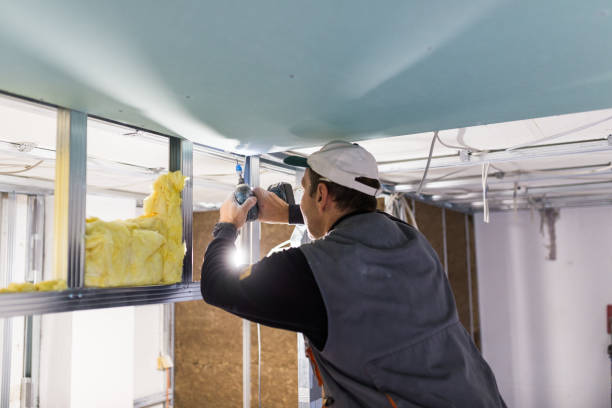 Best Spray Foam Insulation  in Carbondale, PA