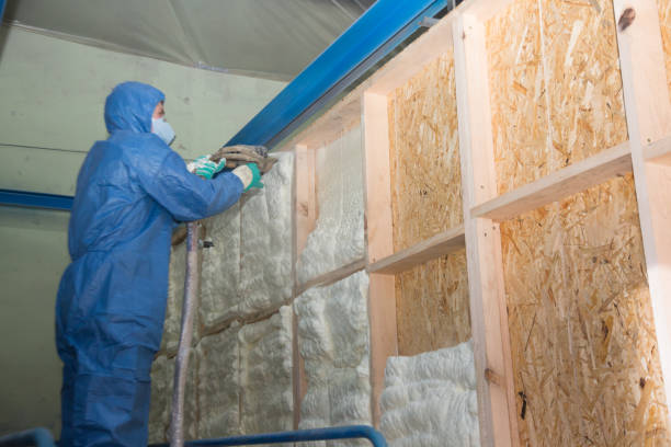 Best Attic Insulation Installation  in Carbondale, PA