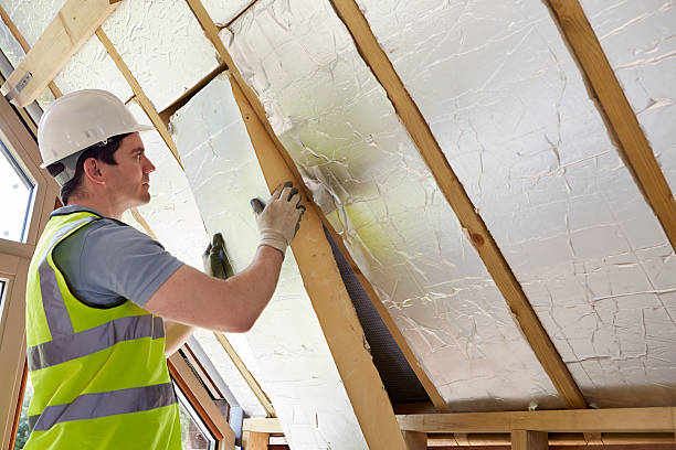 Best Home Insulation Services  in Carbondale, PA